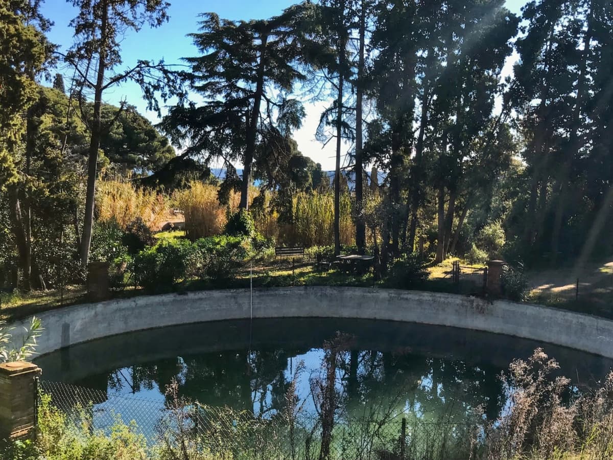 Garden with ornamental round pond